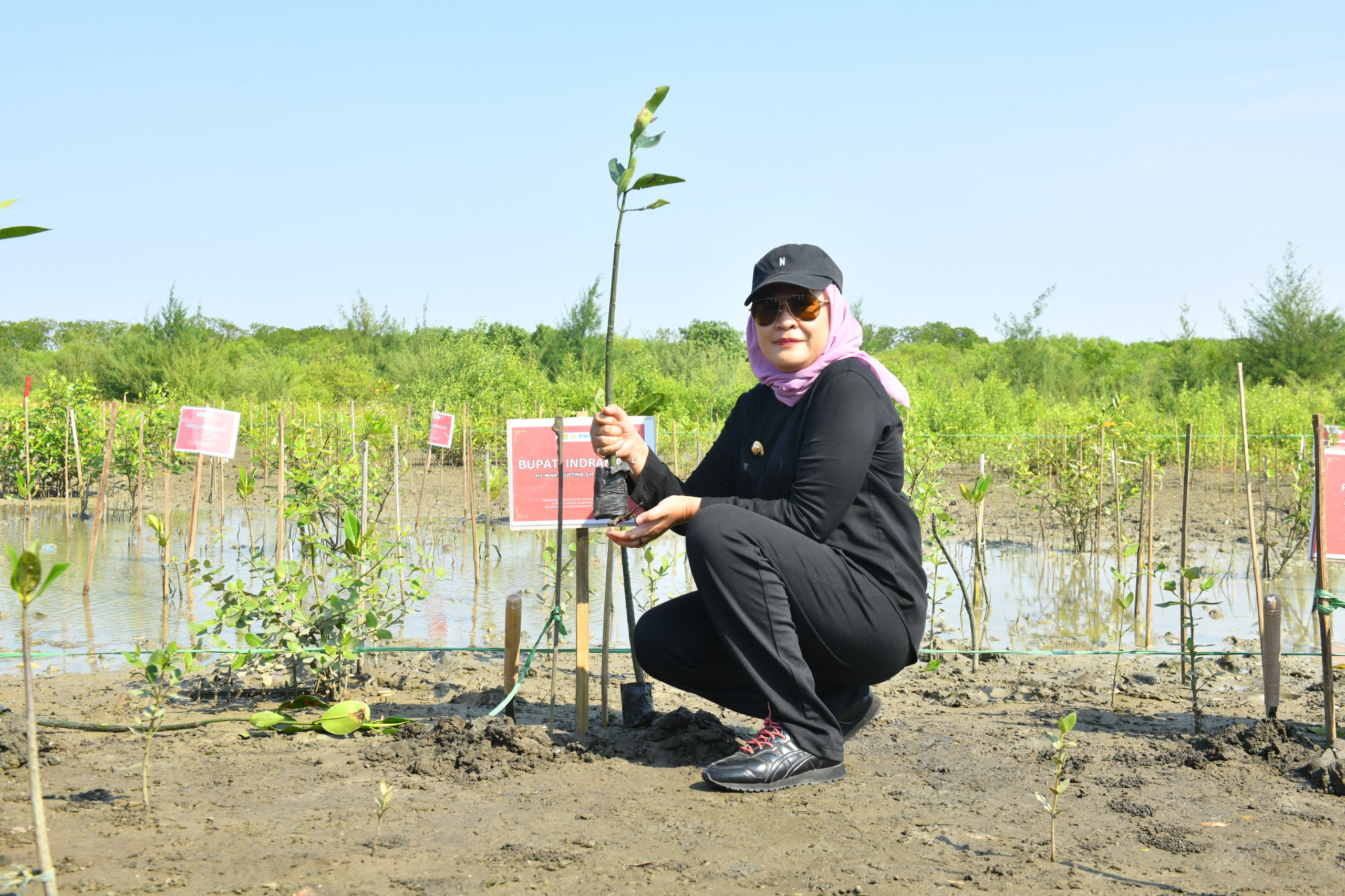 Tumbuhkan Harapan, Bupati Nina Agustina Tanam Mangrove sebagai Langkah Strategis dalam Pelestarian Lingkungan