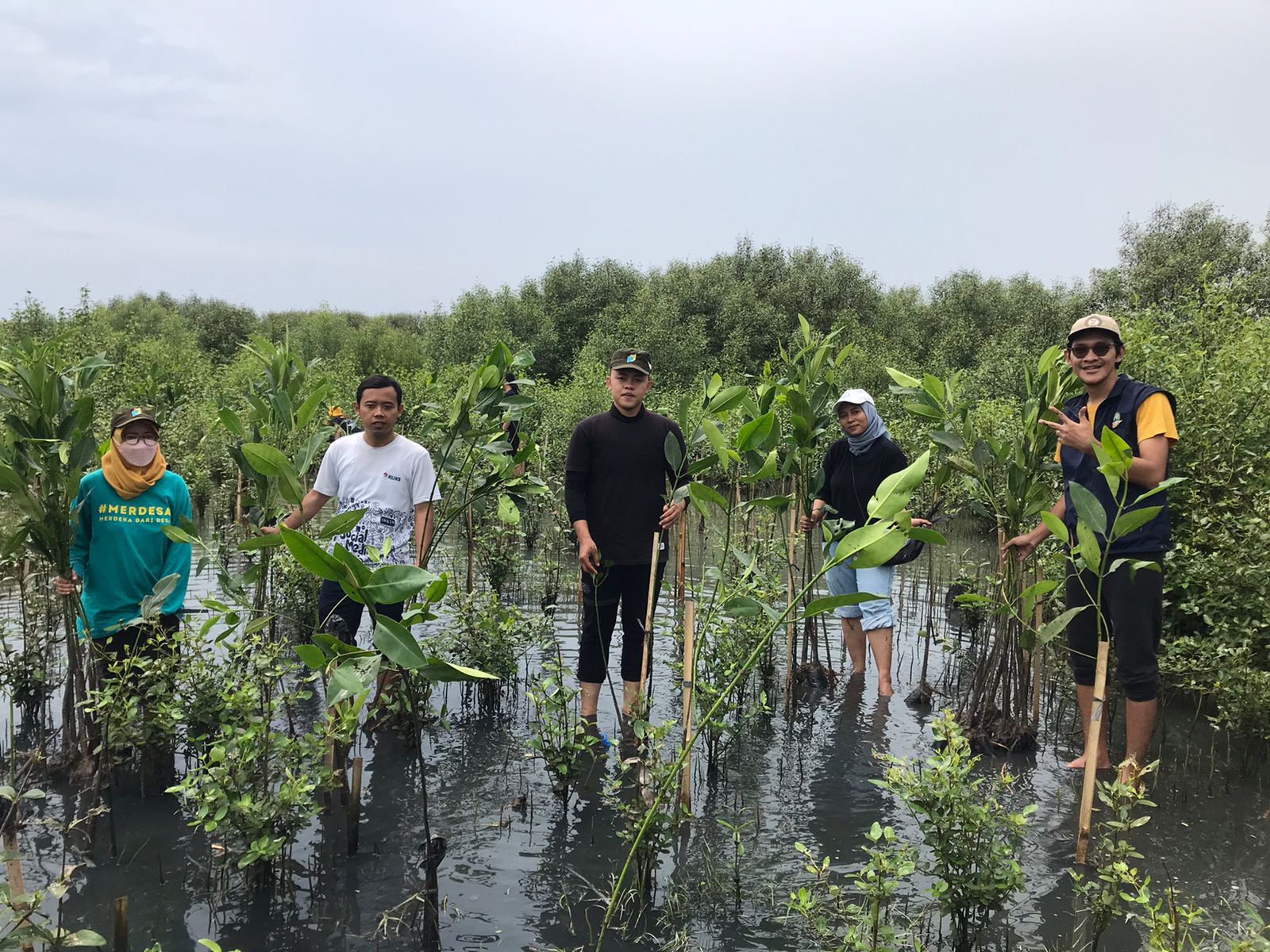 Vokasi-UI-Tanam-3.500-Pohon-Mangrove.jpg