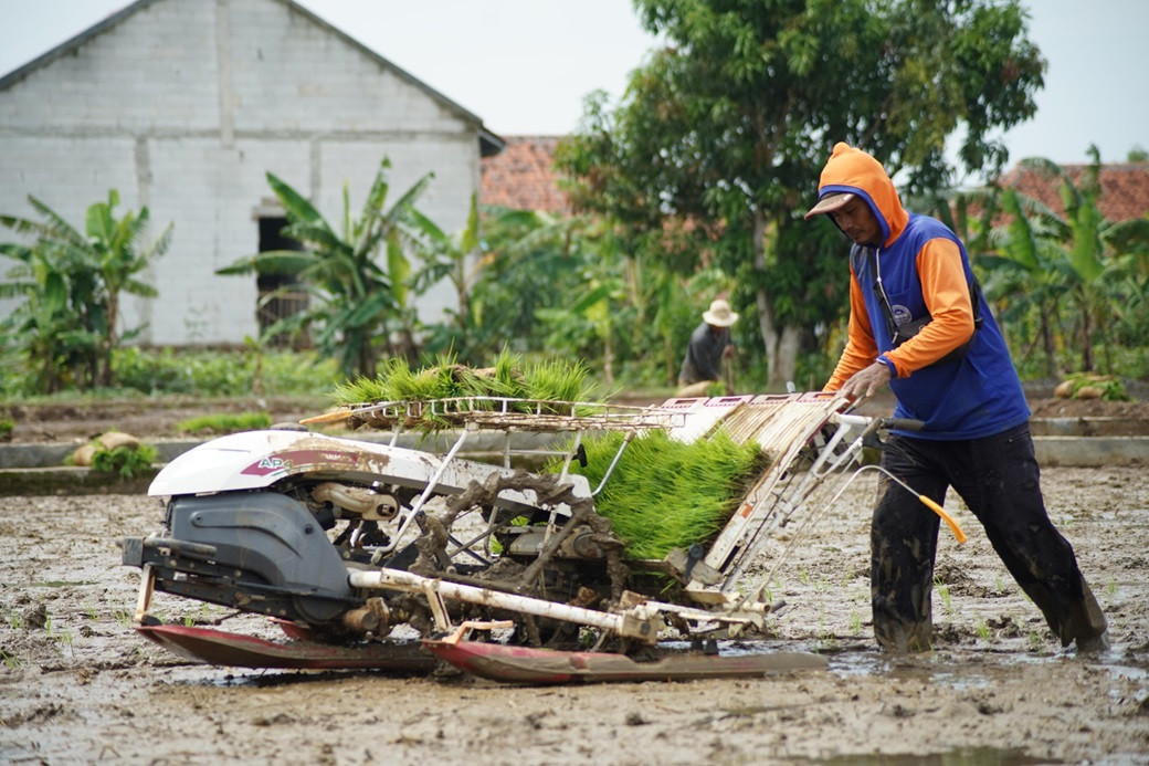 Bupati Nina Agustina Sinergikan Program Pertanian, Irigasi Padi Hemat Air Terus Dikembangkan di Indramayu